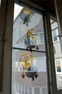 москитные сетки фото, купить москитные сетки недорого