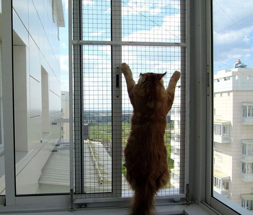 Москитная сетка на пластиковые окна Антикошка